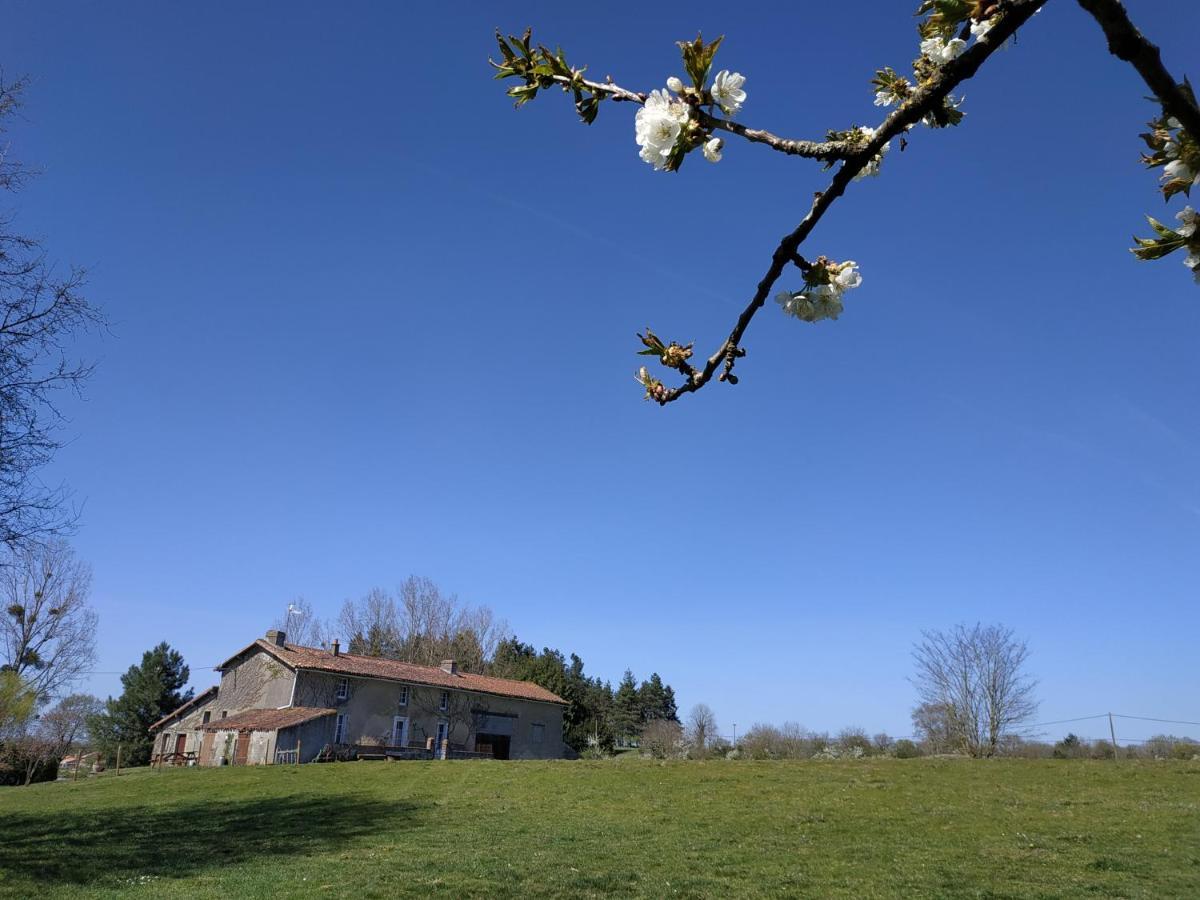 Maison Au Calme Avec Vue Etang Clesse  Экстерьер фото