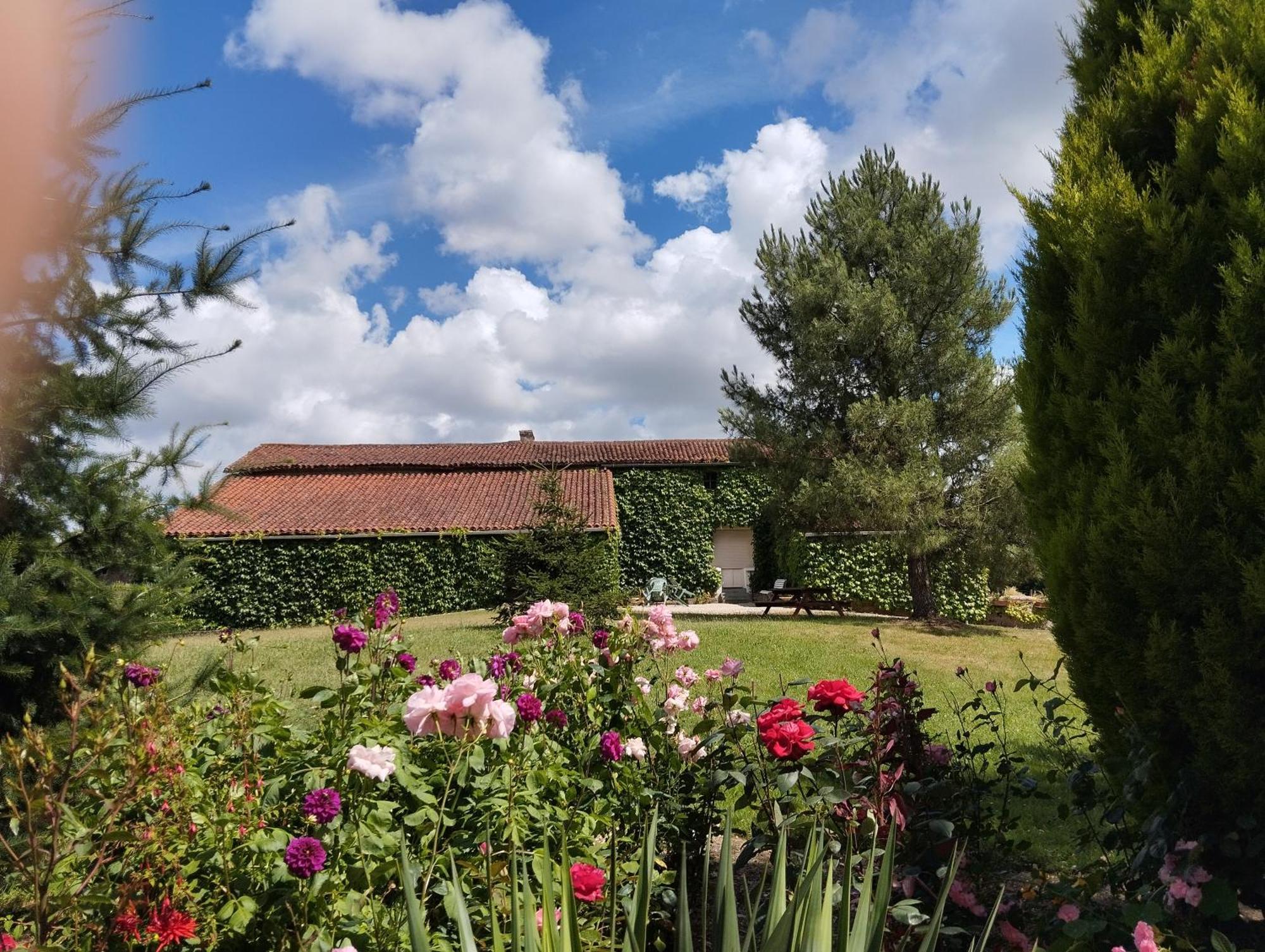 Maison Au Calme Avec Vue Etang Clesse  Экстерьер фото