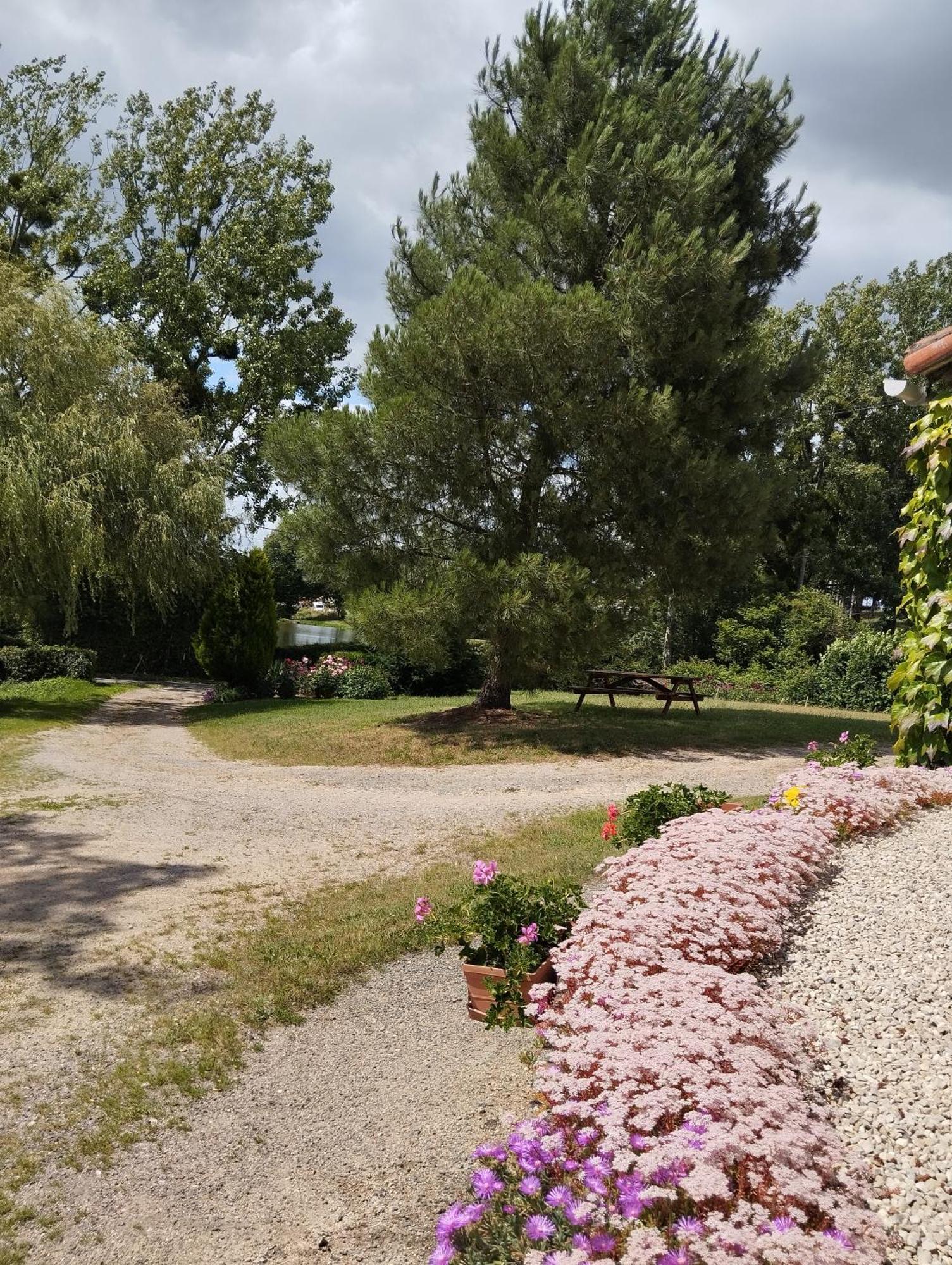 Maison Au Calme Avec Vue Etang Clesse  Экстерьер фото